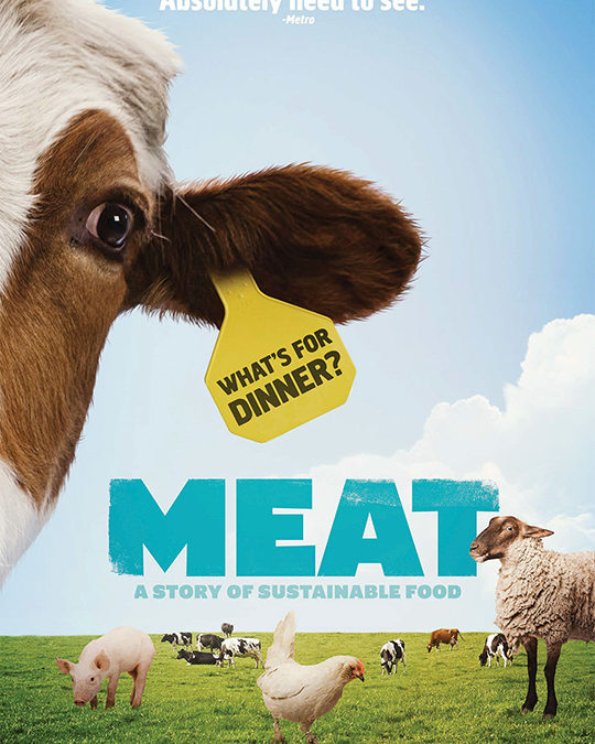 Meat